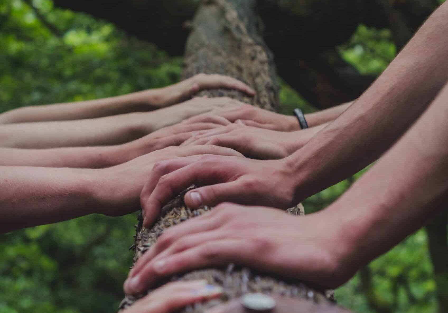shane-rounce-DNkoNXQti3c-unsplash